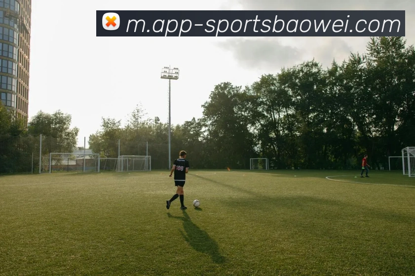 宝威体育平台生态图